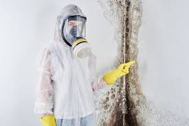 Best Asbestos and Lead Testing During Mold Inspection in Corydon, IN